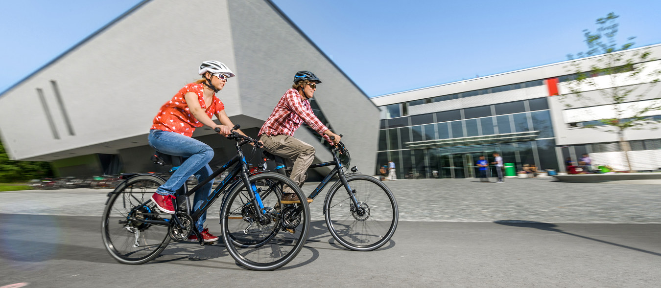 ebike-3